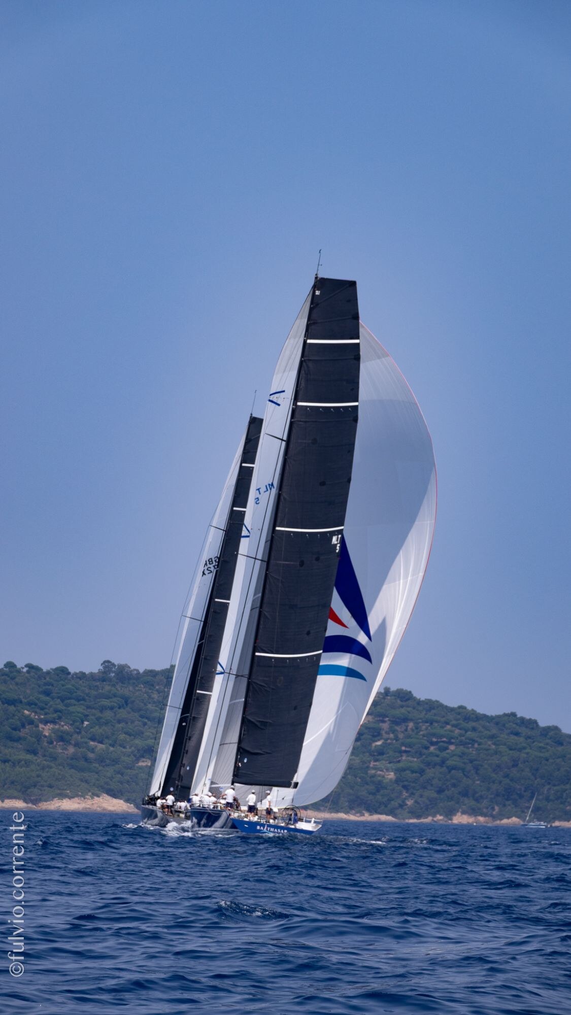 Voilier de course à voile noire et spinnaker blanc devant une côte boisée.