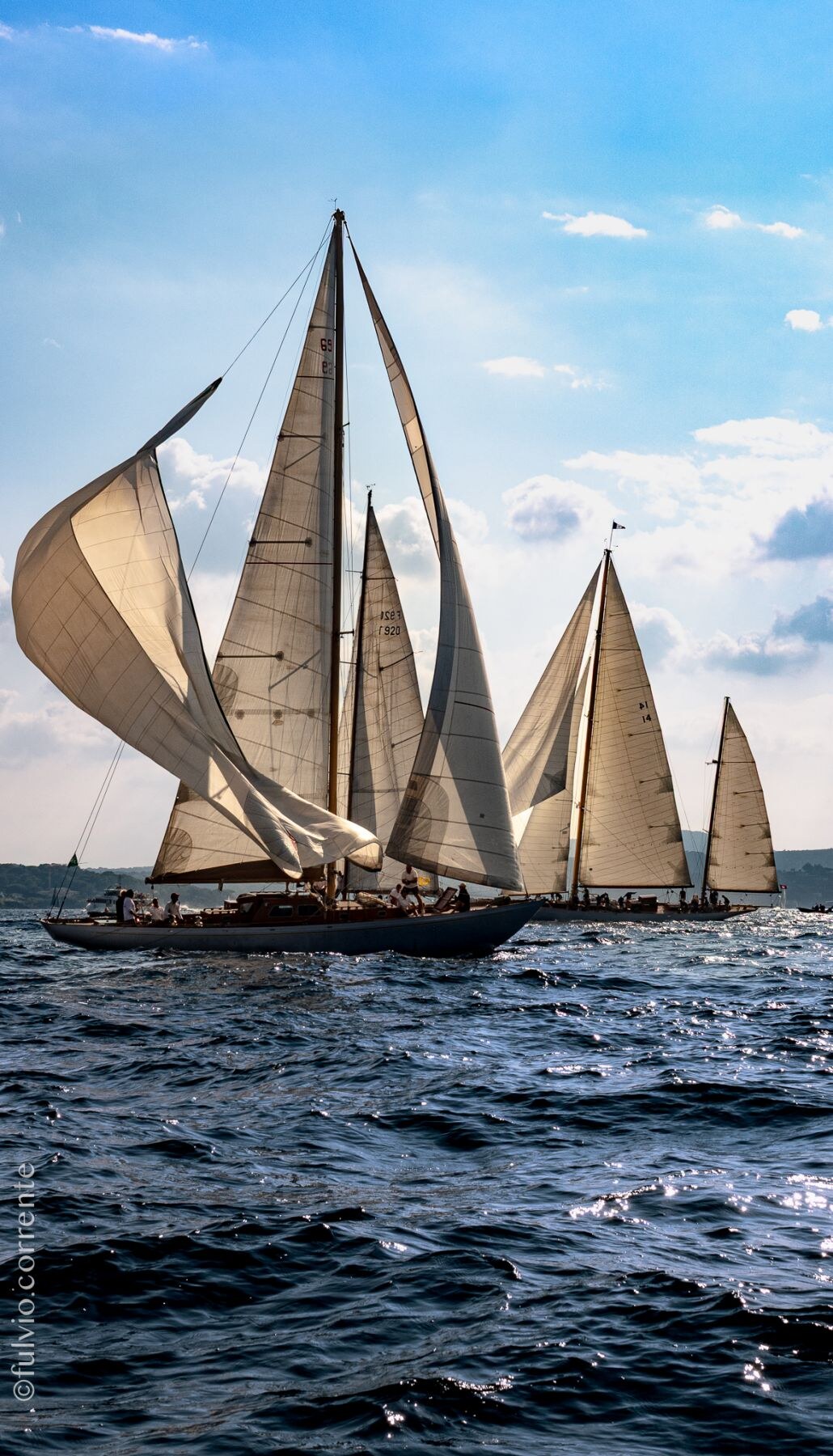 Voiliers à plusieurs voiles blanches sur une mer bleu profond.