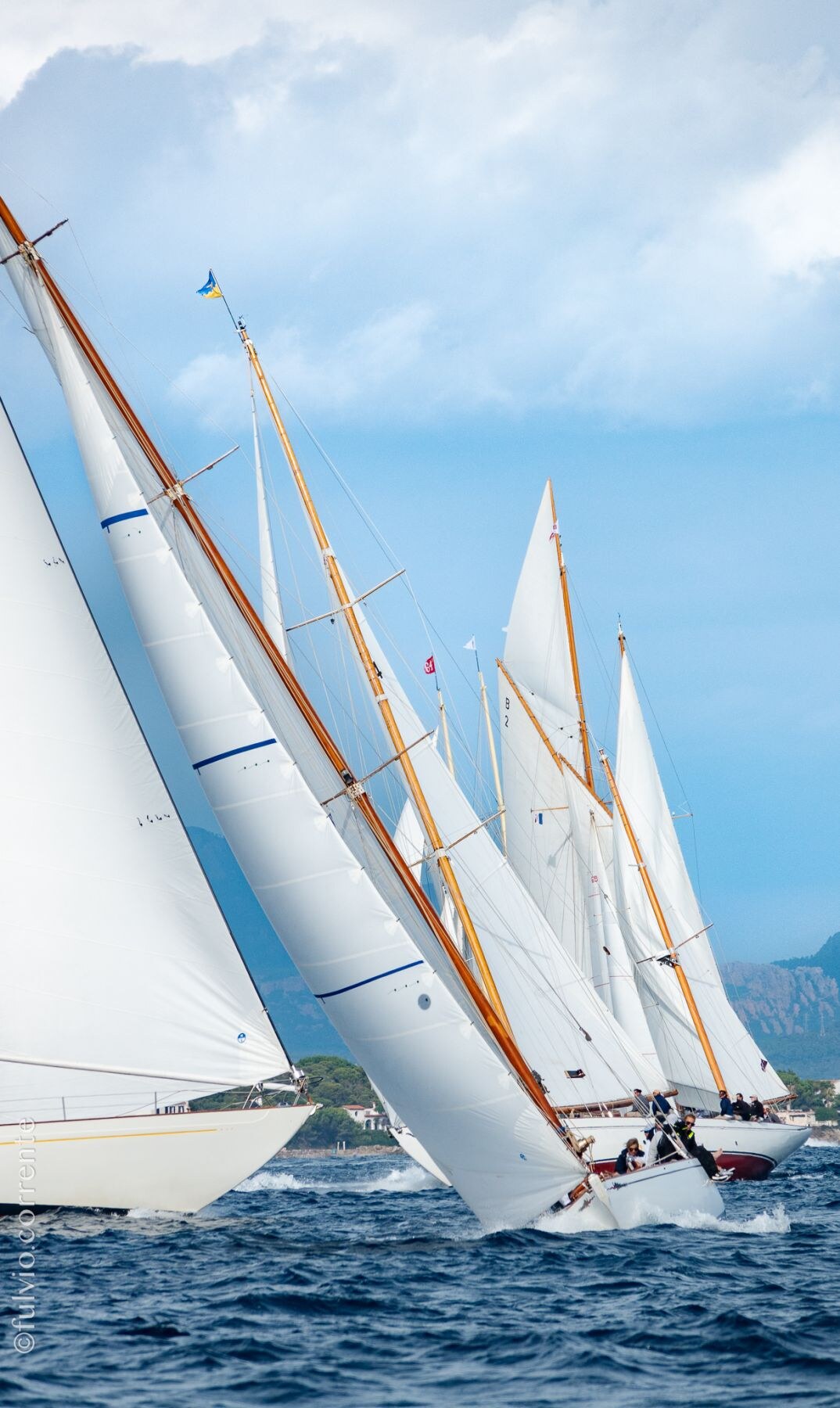 Voiliers classiques côte à côte en pleine régate, voiles blanches devant la côte.