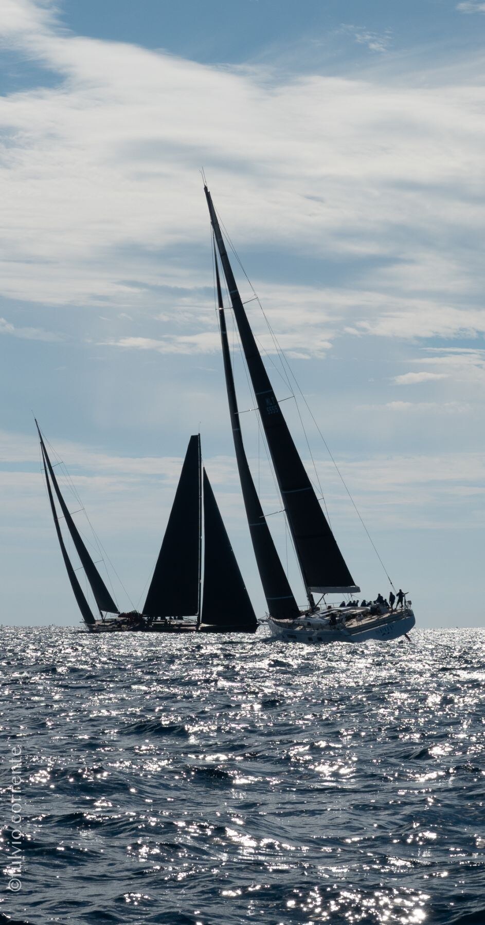 Voiliers aux voiles noires au loin sur une mer scintillante.