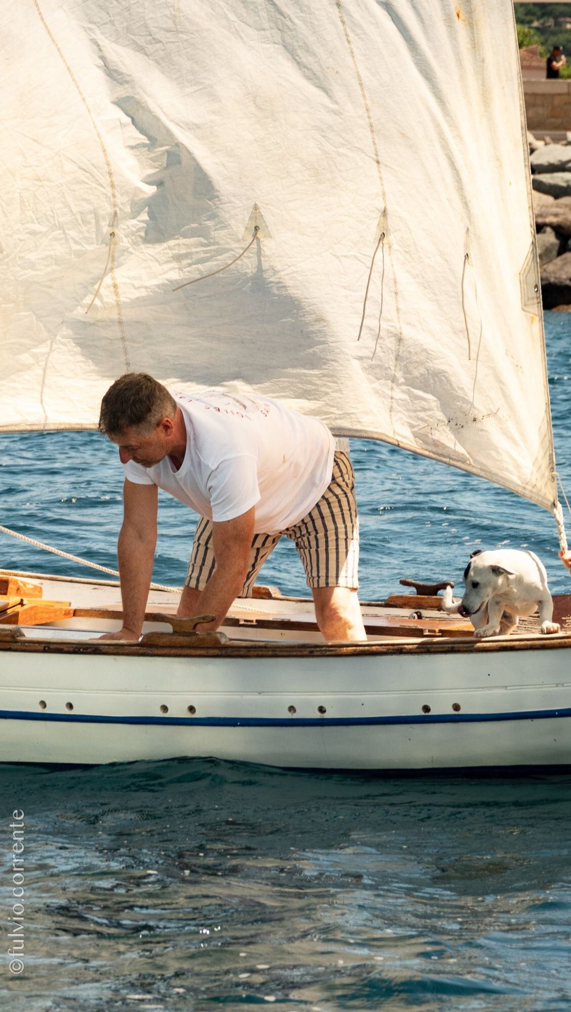 Homme penché sur le pont d’une barque blanche sous une voile, chien à l’arrière.