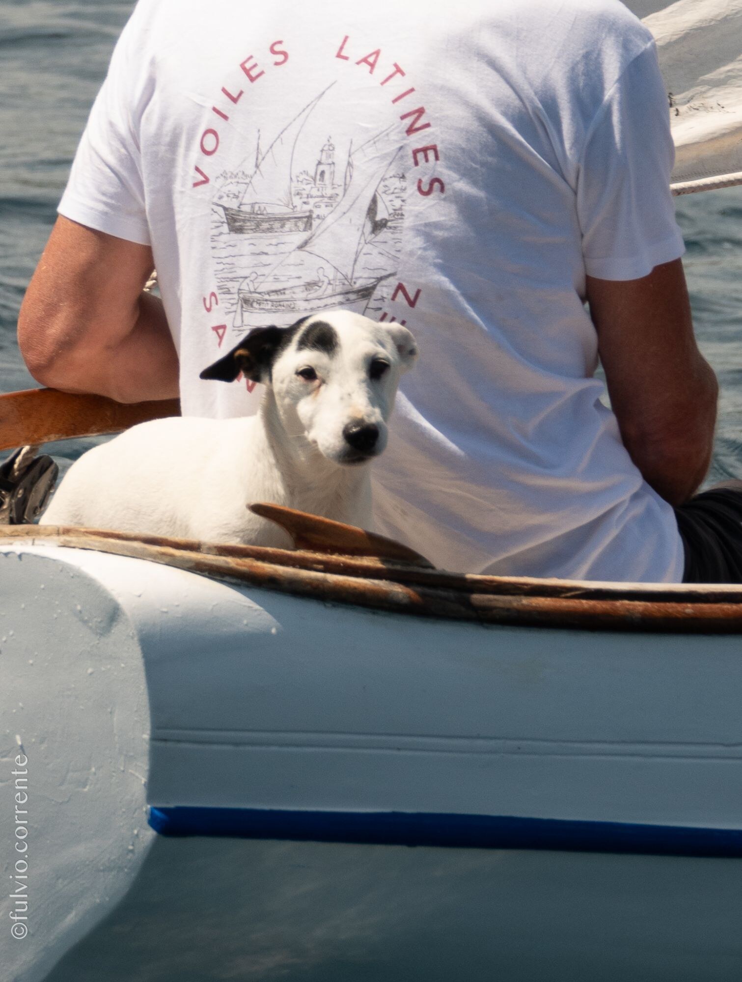 Chien assis près d’un homme en t-shirt blanc imprimé « Voiles latines », sur le bord d’une barque.